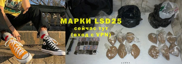 PSILOCYBIN Баксан