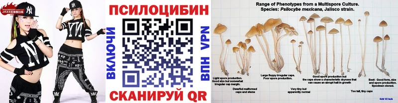 Псилоцибиновые грибы Psilocybe Саянск